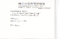 白花牽牛藏品圖，第2張