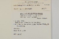 纓絨花藏品圖，第2張