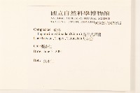 島田氏澤蘭藏品圖，第2張