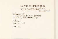 島田氏澤蘭藏品圖，第2張