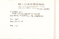 蟛蜞菊藏品圖，第2張