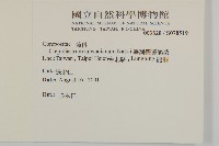 臺灣假黃鵪菜藏品圖，第2張