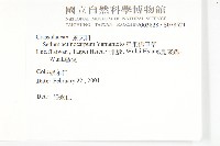 星果佛甲草藏品圖，第2張