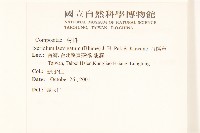 刀傷草藏品圖，第2張