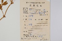 蓮子草藏品圖，第2張