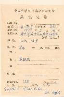 鼠麴草藏品圖，第2張