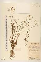 登錄號:S078719藏品圖，第1張