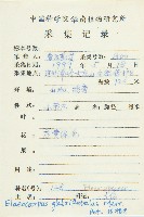 禿瓣杜英藏品圖，第2張