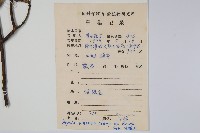 中國念珠藤藏品圖，第2張