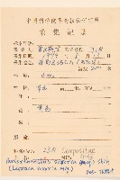 山苦藚、假福王草藏品圖，第2張