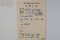 紫背天葵藏品圖，第2張