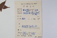 嶺南槭藏品圖，第2張