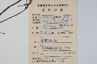 京梨獼猴桃藏品圖，第2張