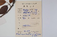 厚殼樹藏品圖，第2張