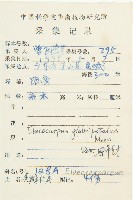 禿瓣杜英藏品圖，第2張