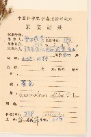 鼠麴草藏品圖，第2張