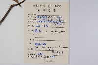 紅果羅浮槭藏品圖，第2張