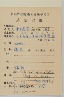 窄葉南蛇藤藏品圖，第2張