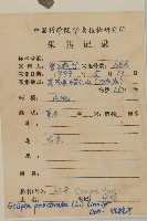 鱧腸藏品圖，第2張