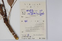 城口十大功勞藏品圖，第2張