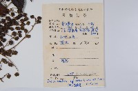 木蜡樹、野漆樹藏品圖，第2張