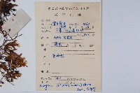 八角楓藏品圖，第2張