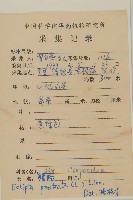 鱧腸藏品圖，第2張