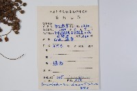 野漆、木臘樹藏品圖，第2張