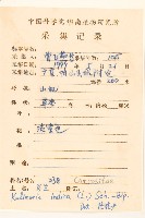 雞兒腸藏品圖，第2張