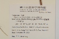 野茼蒿藏品圖，第2張