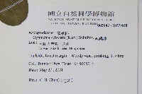 武靴藤藏品圖，第2張