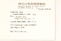 一枝香藏品圖，第2張