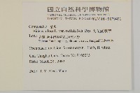 大花咸豐草藏品圖，第2張