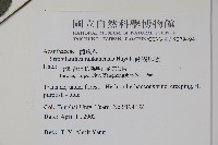 蘭嵌馬藍藏品圖，第2張