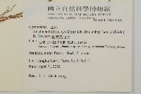 臺灣鬼督郵藏品圖，第2張