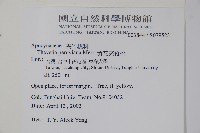 黃花夾竹桃藏品圖，第5張