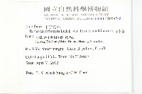 山芥菜藏品圖，第5張