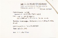 野牽牛藏品圖，第5張