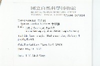 番仔藤藏品圖，第5張