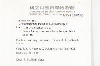 蘄艾、芙蓉菊藏品圖，第2張