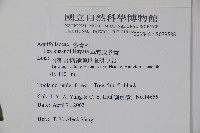 草野氏冬青藏品圖，第2張