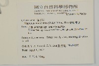 蘭嶼裸實藏品圖，第2張