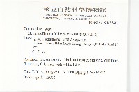 蘭嶼木耳菜藏品圖，第2張