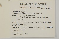 交趾衛矛藏品圖，第2張