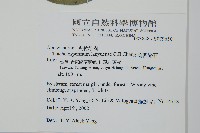 蘭嶼絡石藏品圖，第2張