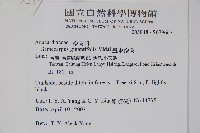 臺東漆樹藏品圖，第2張