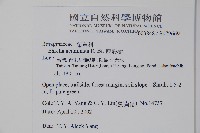 厚殼樹藏品圖，第2張