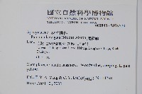 爬森藤藏品圖，第2張