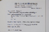 蘭嶼馬蹄花藏品圖，第2張