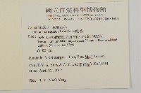 木麻黃藏品圖，第2張